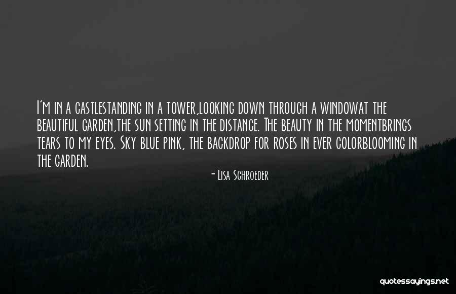 Looking At A Distance Quotes By Lisa Schroeder