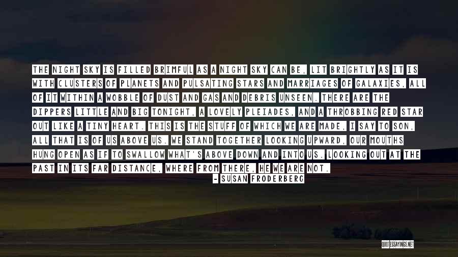 Looking At A Distance Quotes By Susan Froderberg Looking At A Distance Quotes By Susan Froderberg