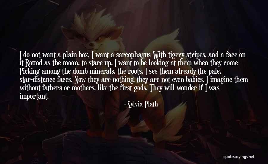 Looking At A Distance Quotes By Sylvia Plath Looking At A Distance Quotes By Sylvia Plath