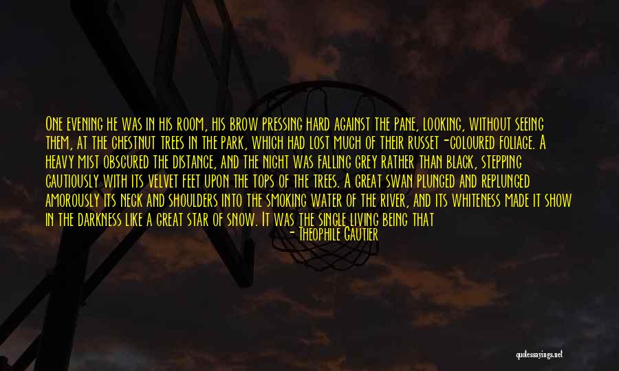 Looking At A Distance Quotes By Theophile Gautier Looking At A Distance Quotes By Theophile Gautier