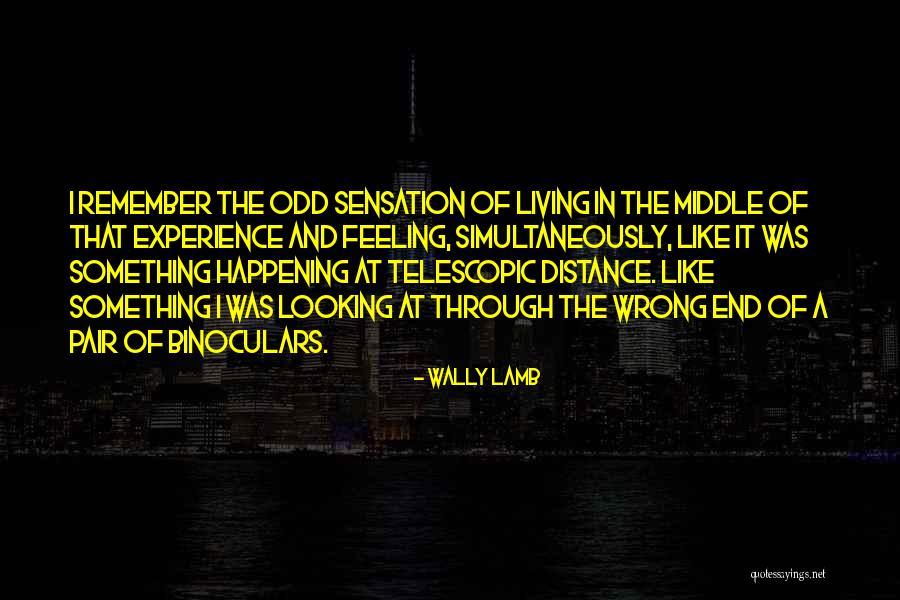Looking At A Distance Quotes By Wally Lamb Looking At A Distance Quotes By Wally Lamb