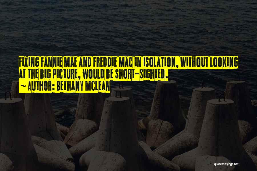 Looking At The Big Picture Quotes By Bethany McLean