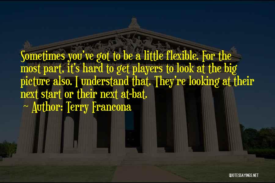 Looking At The Big Picture Quotes By Terry Francona