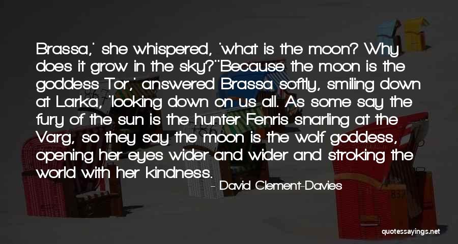 Looking At The Moon Quotes By David Clement-Davies