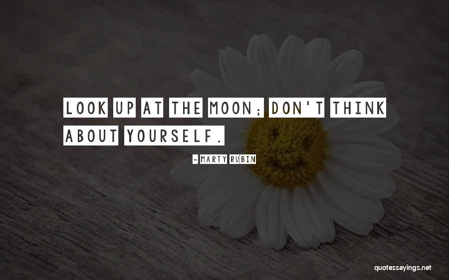 Looking At The Moon Quotes By Marty Rubin