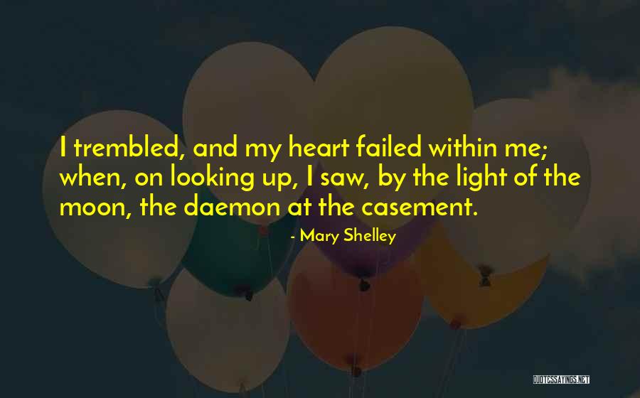 Looking At The Moon Quotes By Mary Shelley