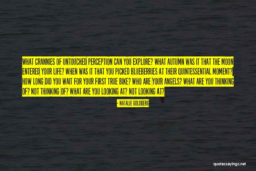 Looking At The Moon Quotes By Natalie Goldberg