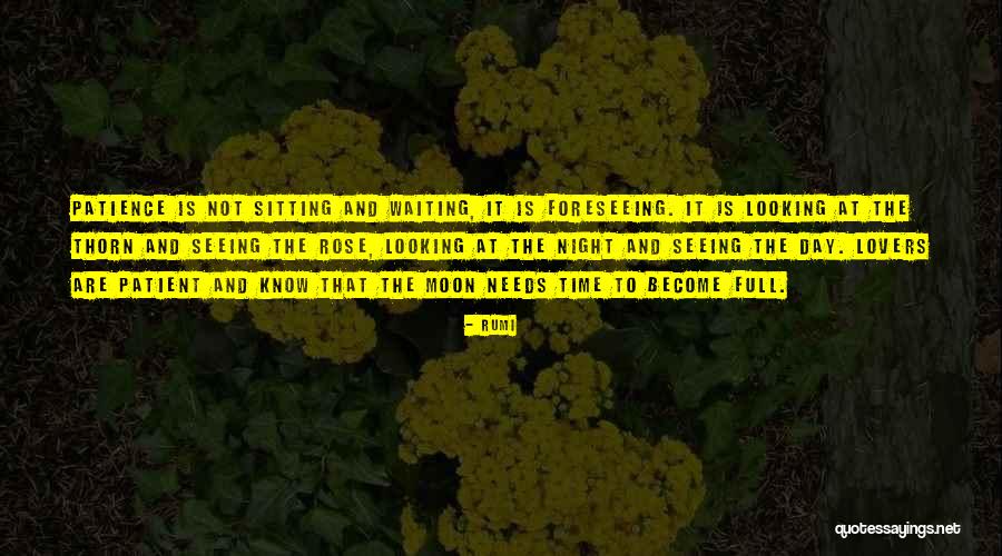 Looking At The Moon Quotes By Rumi