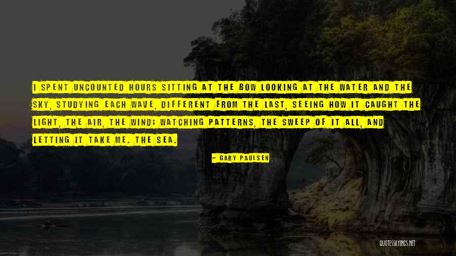 Looking At The Ocean Quotes By Gary Paulsen Looking At The Ocean Quotes By Gary Paulsen