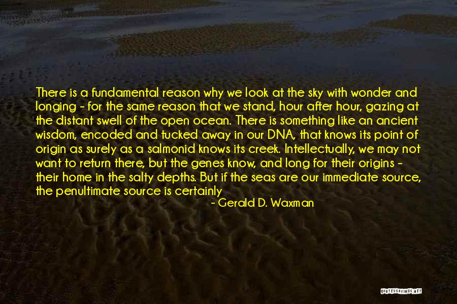 Looking At The Ocean Quotes By Gerald D. Waxman Looking At The Ocean Quotes By Gerald D. Waxman