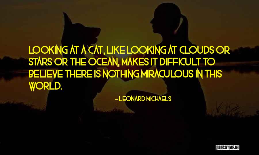 Looking At The Ocean Quotes By Leonard Michaels Looking At The Ocean Quotes By Leonard Michaels