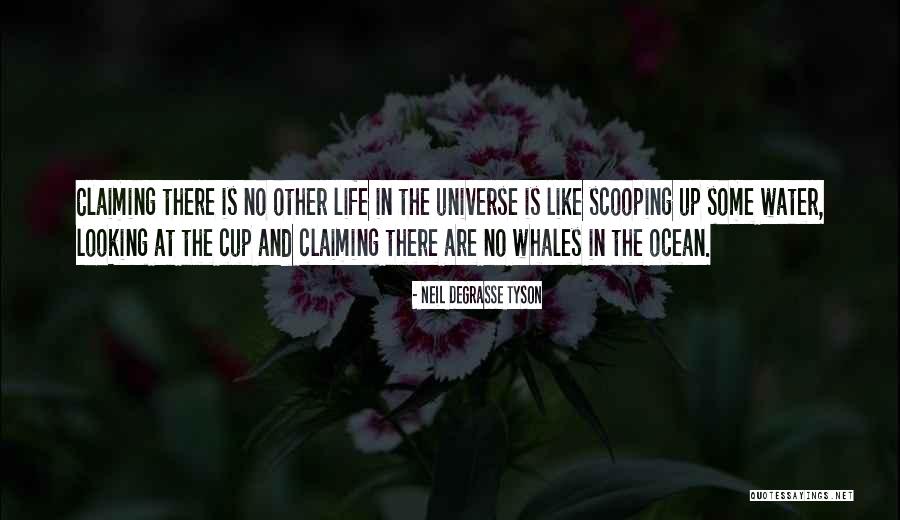 Looking At The Ocean Quotes By Neil DeGrasse Tyson Looking At The Ocean Quotes By Neil DeGrasse Tyson