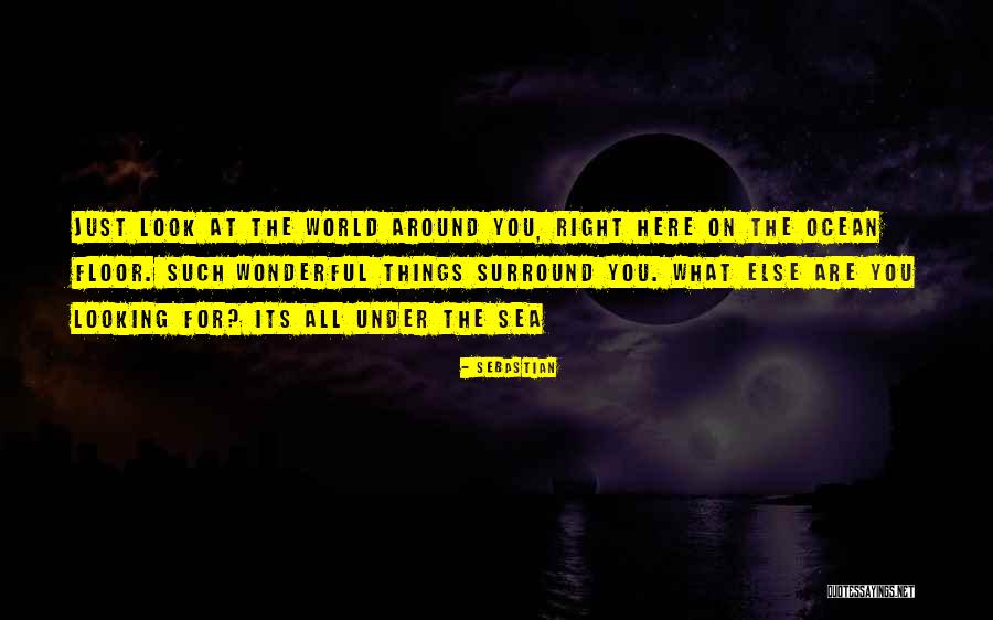 Looking At The Ocean Quotes By SebastiAn Looking At The Ocean Quotes By SebastiAn