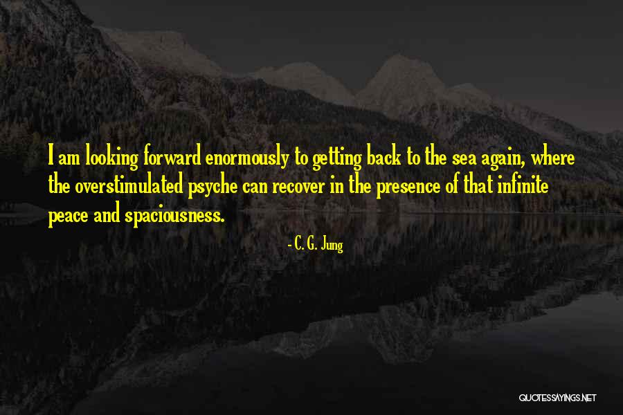 Looking Back Looking Forward Quotes By C. G. Jung Looking Back Looking Forward Quotes By C. G. Jung