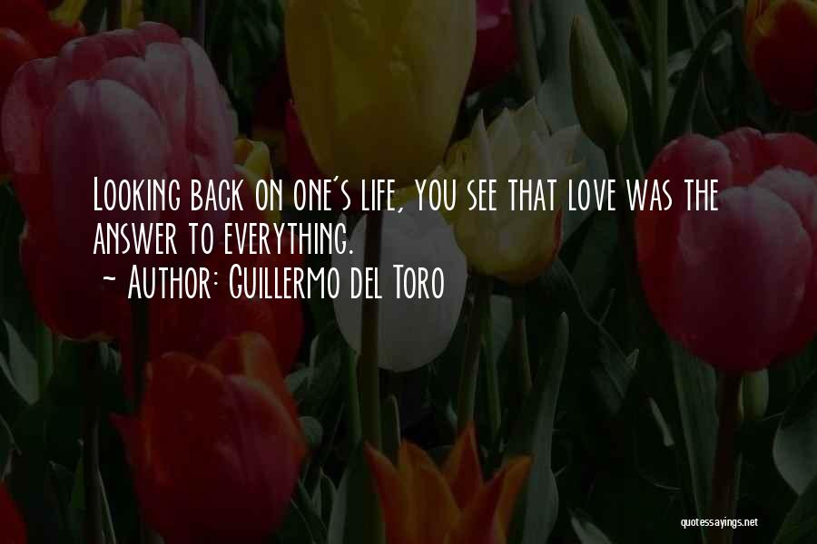 Looking Back On Life Quotes By Guillermo Del Toro