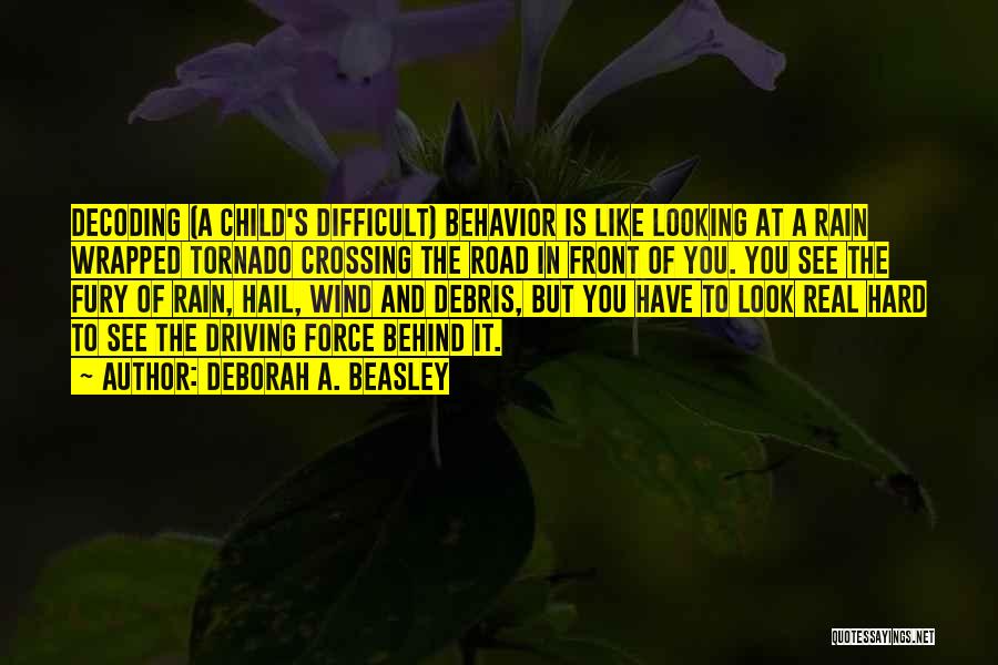 Looking Behind You Quotes By Deborah A. Beasley