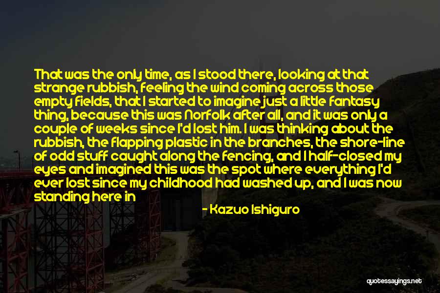 Looking Beyond What You See Quotes By Kazuo Ishiguro