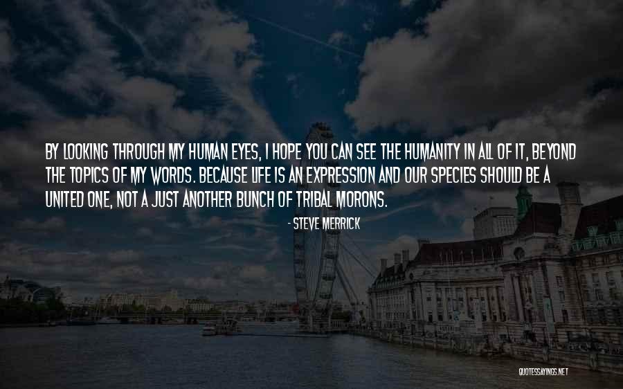 Looking Beyond What You See Quotes By Steve Merrick