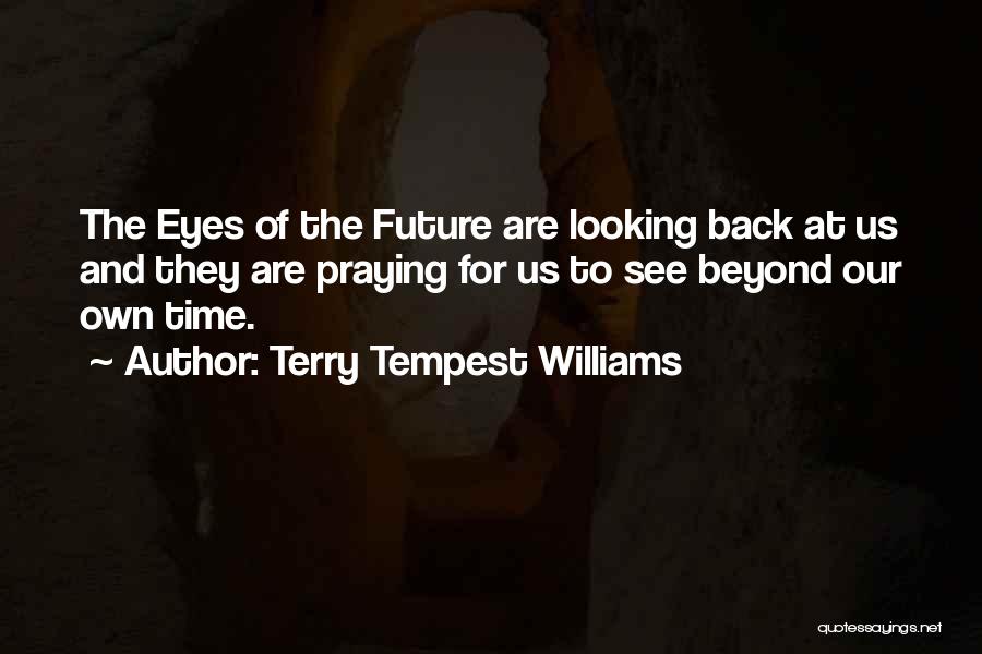 Looking Beyond What You See Quotes By Terry Tempest Williams