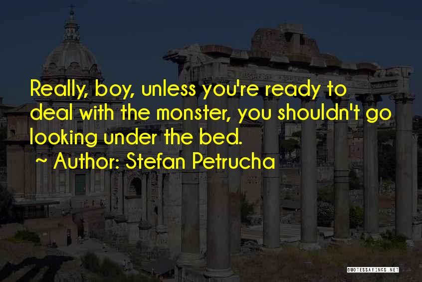 Looking Boy Quotes By Stefan Petrucha