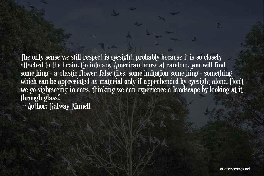 Looking Closely Quotes By Galway Kinnell Looking Closely Quotes By Galway Kinnell