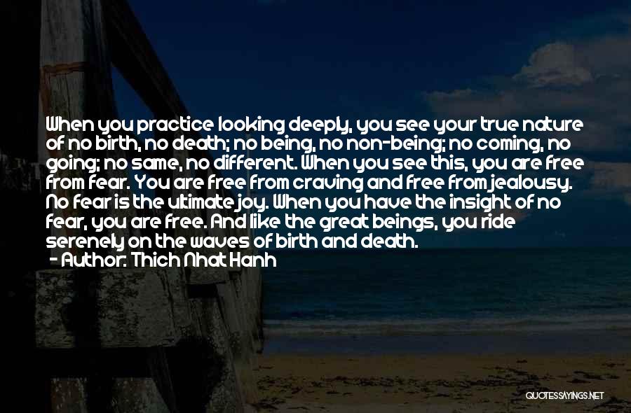 Looking Deeply Quotes By Thich Nhat Hanh