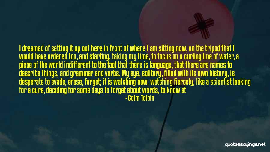 Looking Desperate Quotes By Colm Toibin Looking Desperate Quotes By Colm Toibin