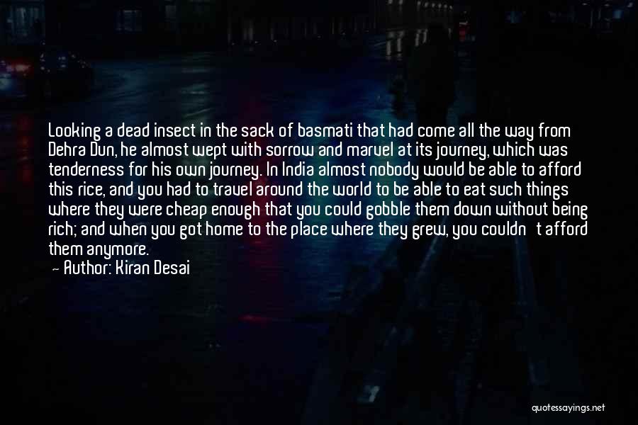 Looking Down At You Quotes By Kiran Desai