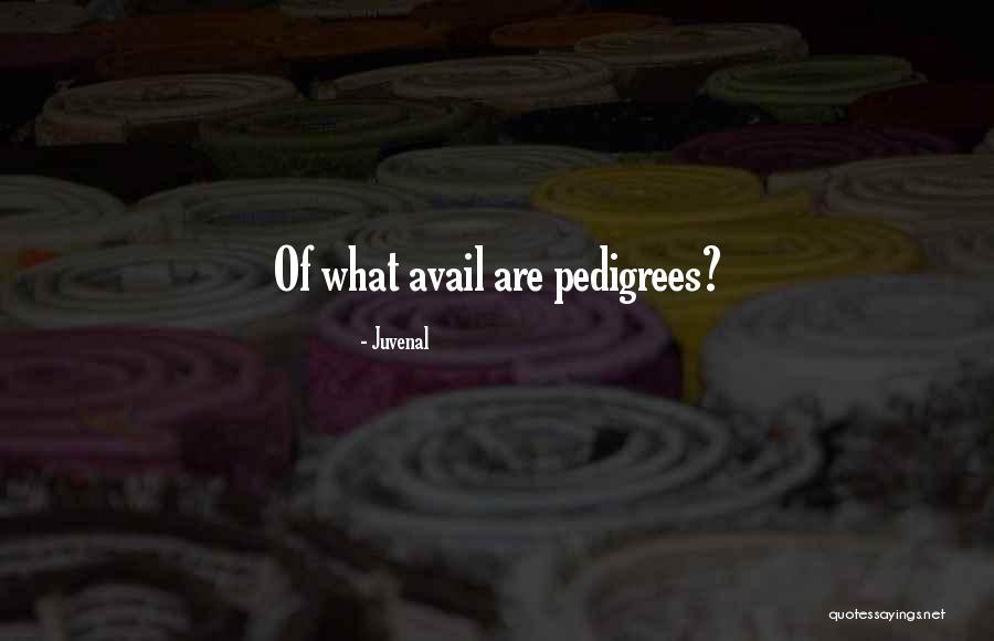 Looking Down On Haters Quotes By Juvenal Looking Down On Haters Quotes By Juvenal