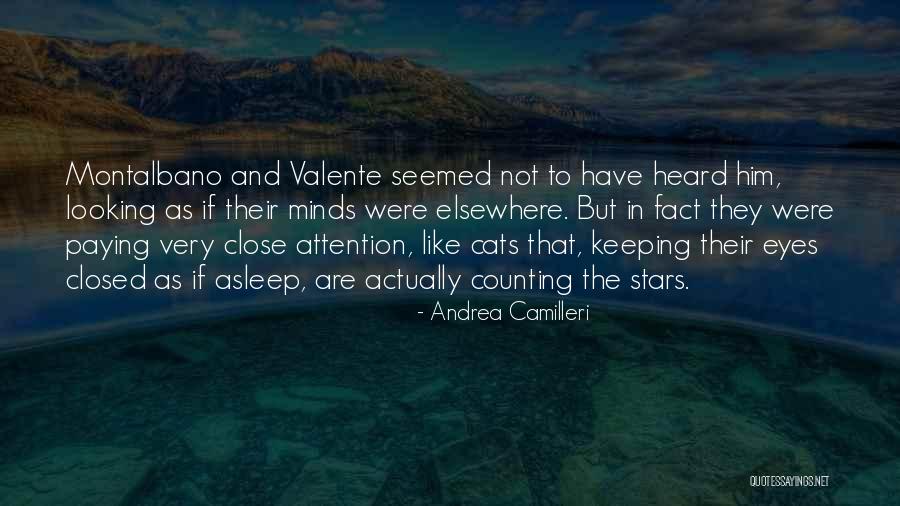 Looking Elsewhere Quotes By Andrea Camilleri