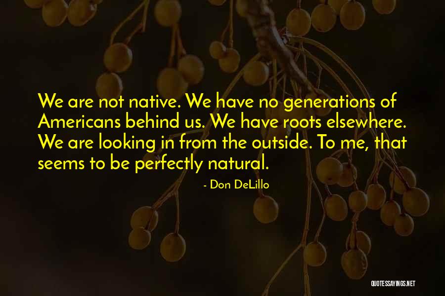 Looking Elsewhere Quotes By Don DeLillo