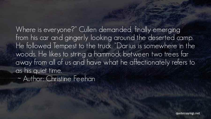 Looking Far Away Quotes By Christine Feehan