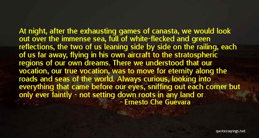 Looking Far Away Quotes By Ernesto Che Guevara