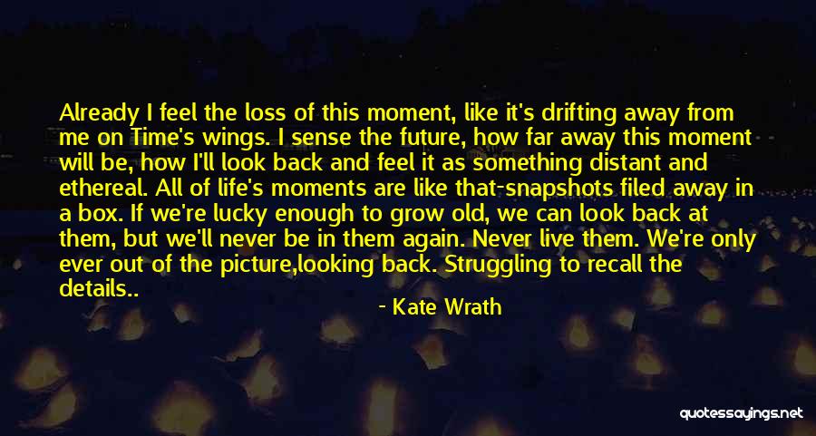 Looking Far Away Quotes By Kate Wrath