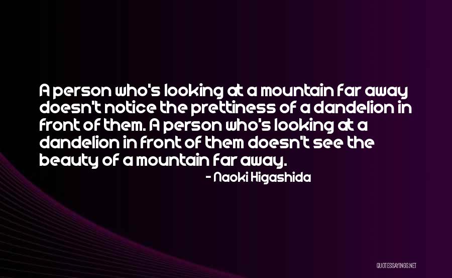 Looking Far Away Quotes By Naoki Higashida