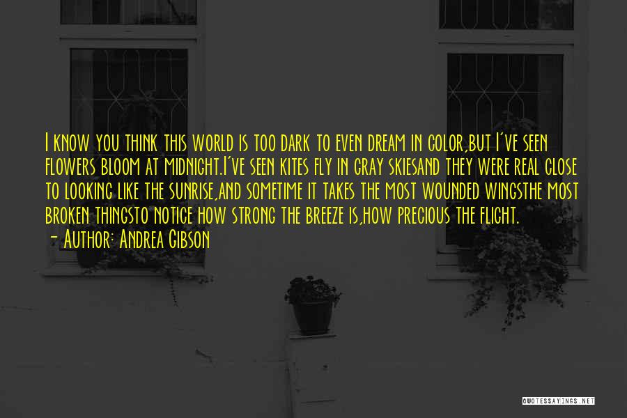 Looking Fly Quotes By Andrea Gibson