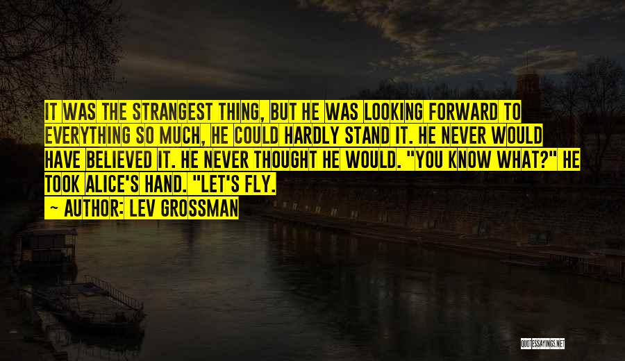 Looking Fly Quotes By Lev Grossman