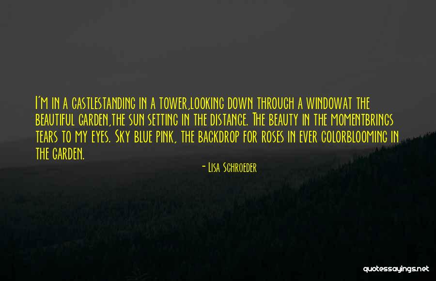 Looking For Beauty Quotes By Lisa Schroeder Looking For Beauty Quotes By Lisa Schroeder