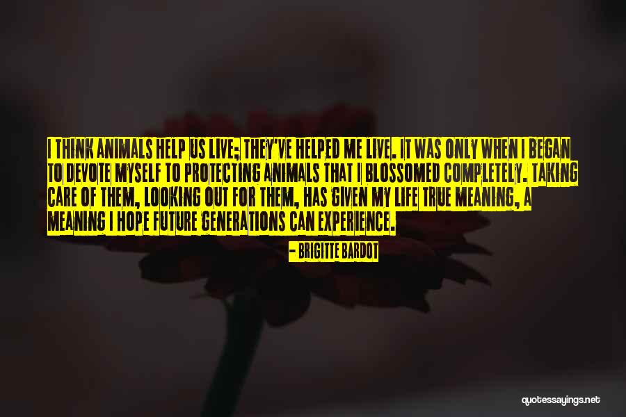 Looking For Future Quotes By Brigitte Bardot Looking For Future Quotes By Brigitte Bardot