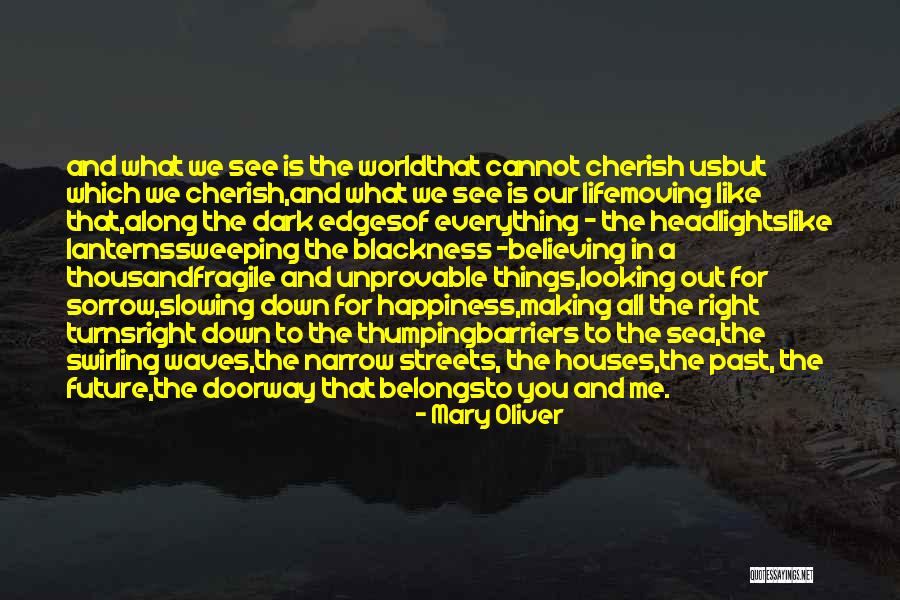 Looking For Future Quotes By Mary Oliver Looking For Future Quotes By Mary Oliver