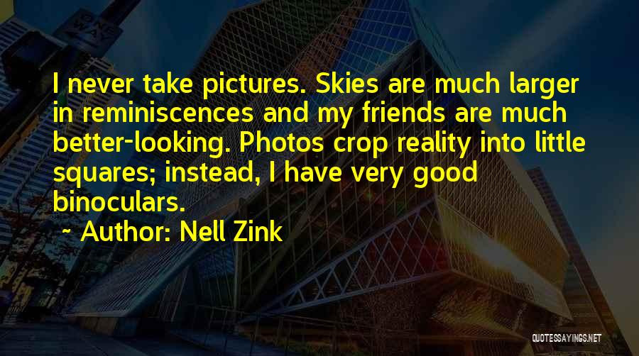 Looking For Good Friends Quotes By Nell Zink