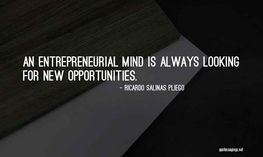 Looking For New Opportunities Quotes By Ricardo Salinas Pliego