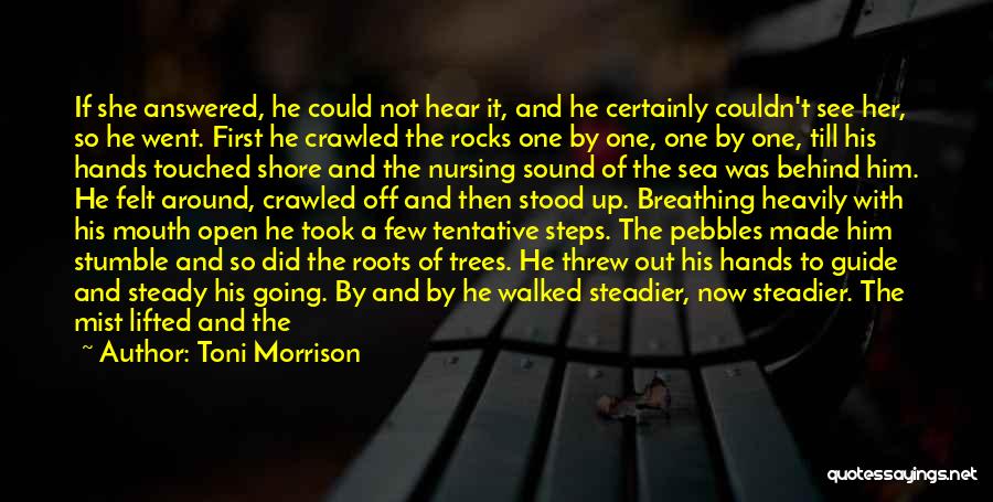 Looking For Pebbles Quotes By Toni Morrison