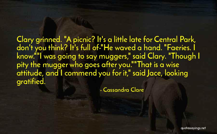 Looking For Pity Quotes By Cassandra Clare