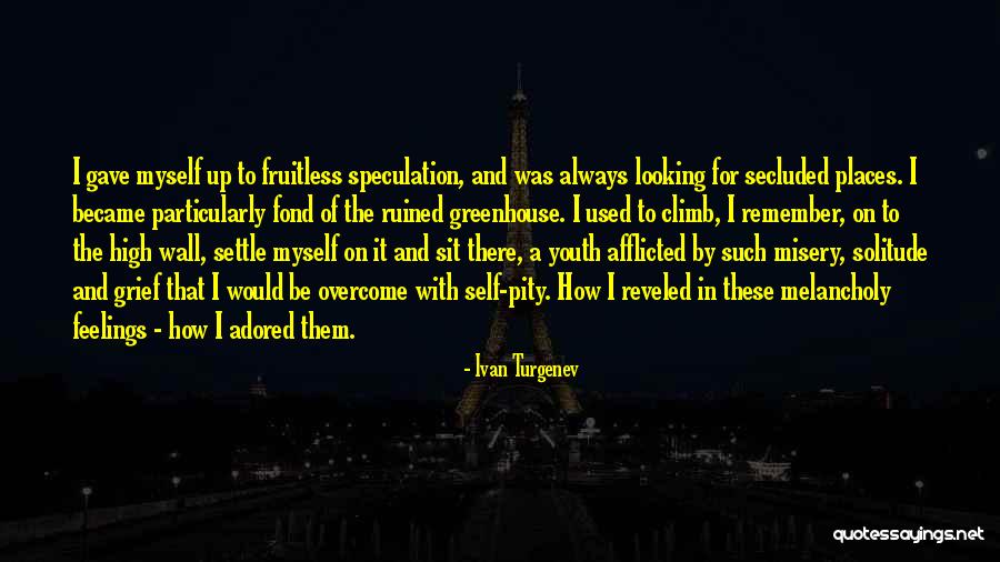 Looking For Pity Quotes By Ivan Turgenev