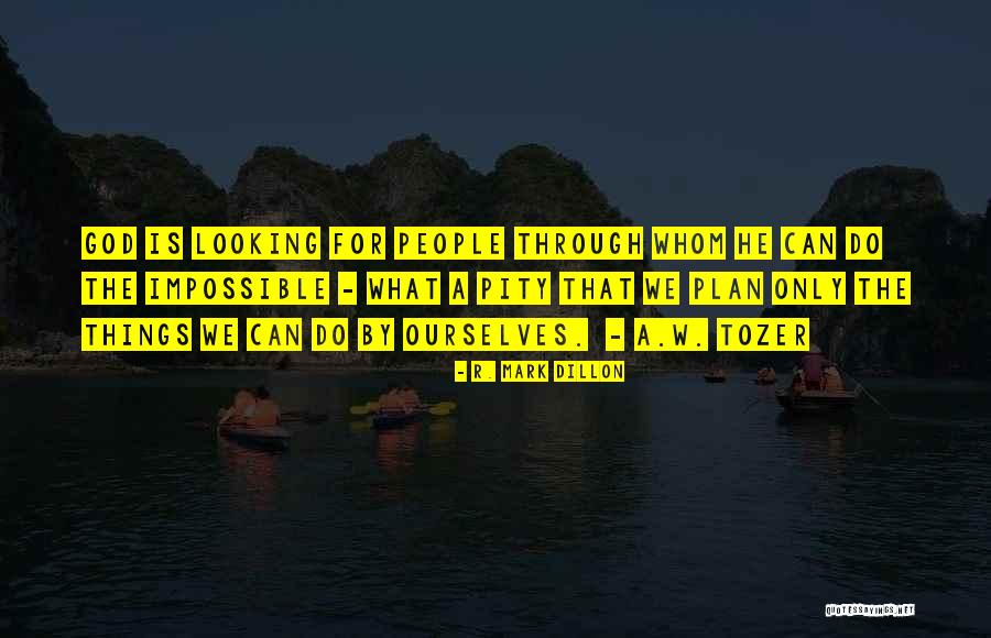 Looking For Pity Quotes By R. Mark Dillon