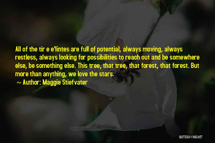 Looking For Something Else Quotes By Maggie Stiefvater