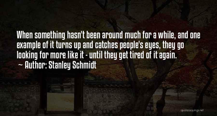 Looking For Something More Quotes By Stanley Schmidt