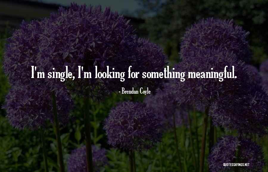 Looking For Something Quotes By Brendan Coyle