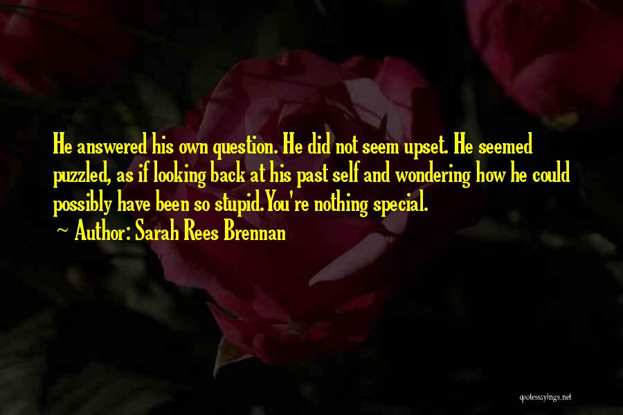 Looking For Something Special Quotes By Sarah Rees Brennan